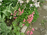 7a1c6712-Picture 5868.jpg